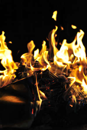 Fire flamingの写真素材