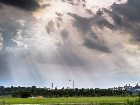 Green field and dramatic cloudy skyの写真素材