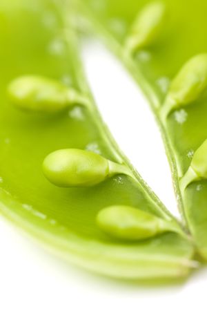 close-up fo opened green bean pod with selective focusの写真素材