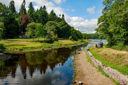 Louth Oughter in Killykeen Forest Park on summer time, Irelandの写真素材