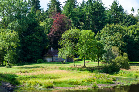 Louth Oughter in Killykeen Forest Park on summer time, Ireland