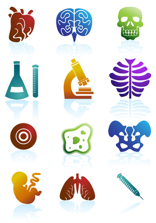 Biology Color Icon Set : Medical themed buttons.のイラスト素材