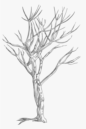 Tree Drawingのイラスト素材