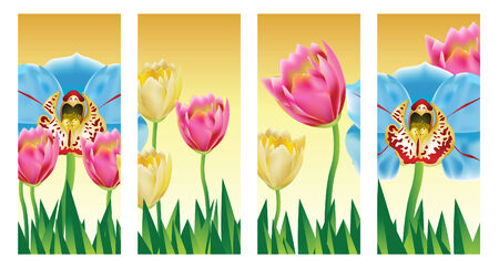 Tulip Orchid Flowers in a set of vertical panels.のイラスト素材