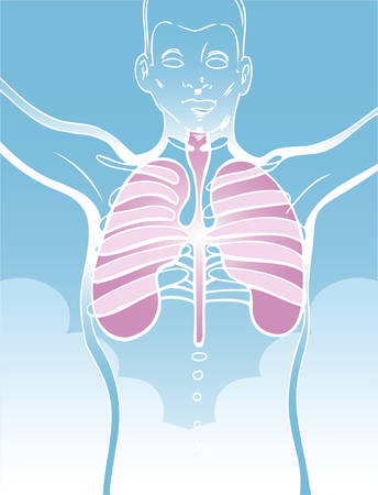 lung drawing of a man with his internal organs.のイラスト素材