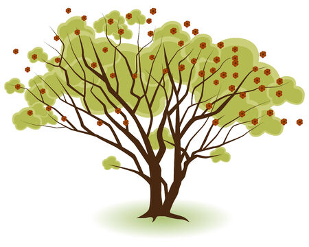 Two trees growing together isolated on a white background.のイラスト素材