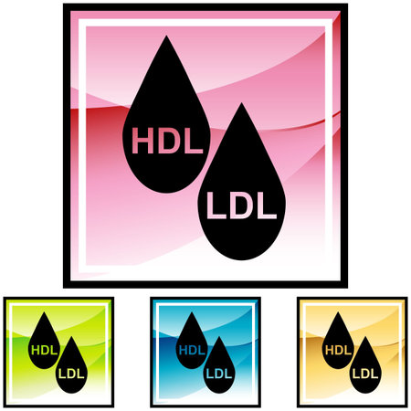 HDL LDL Cholesterolのイラスト素材