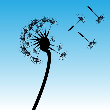 Dandelionのイラスト素材
