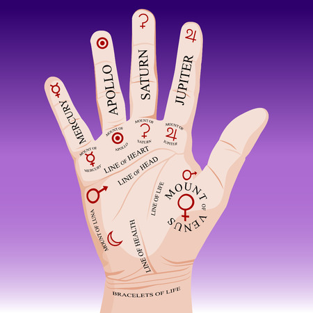 An image of a palm reading palmistry.のイラスト素材