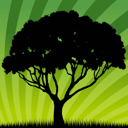 An image of a sunrise / sunset tree.のイラスト素材