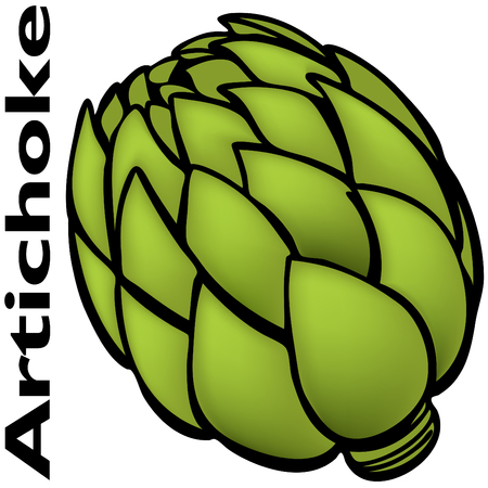 An image of a artichoke.のイラスト素材