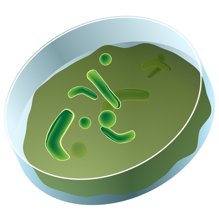 An image of a petri dish of bacteria.のイラスト素材