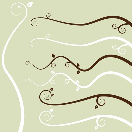 An image of a swirl leaf branches on a green background.のイラスト素材