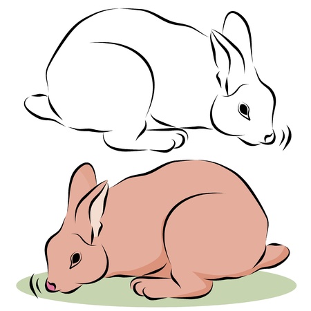 An image of a bunny rabbit sniffing line drawing.のイラスト素材