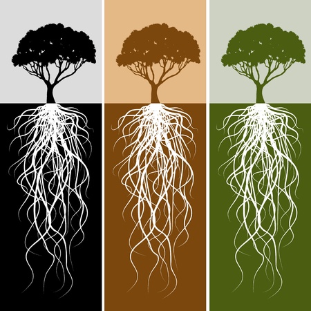 An image of a vertical tree root banner set.のイラスト素材