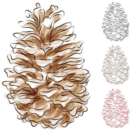An image of a watercolor pine cone.のイラスト素材