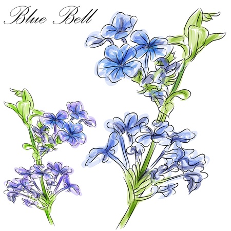 An image of a watercolor blue bell flower stem.のイラスト素材