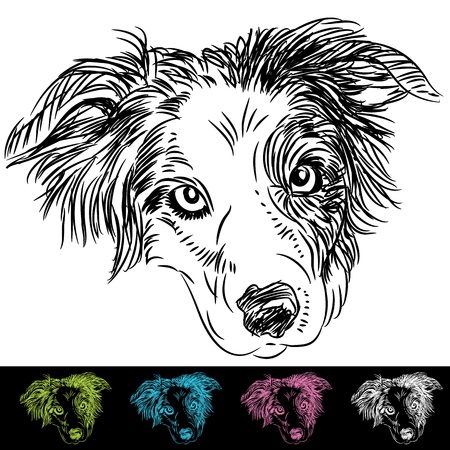 An image of border collie face set.のイラスト素材