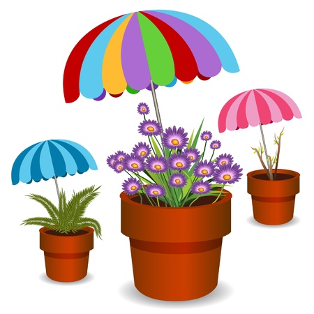 An image of a potted plants shaded by umbrellas.のイラスト素材