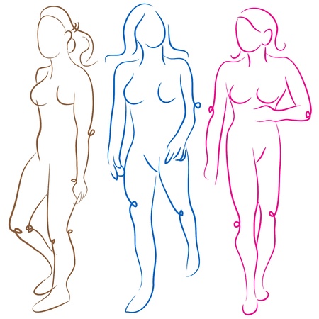 An image of a female body shapes set.のイラスト素材