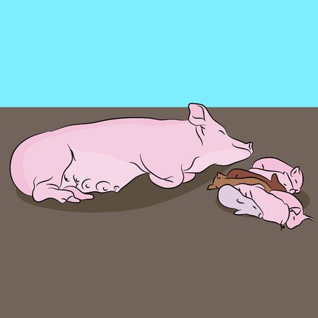 An image of a pig and piglets.のイラスト素材