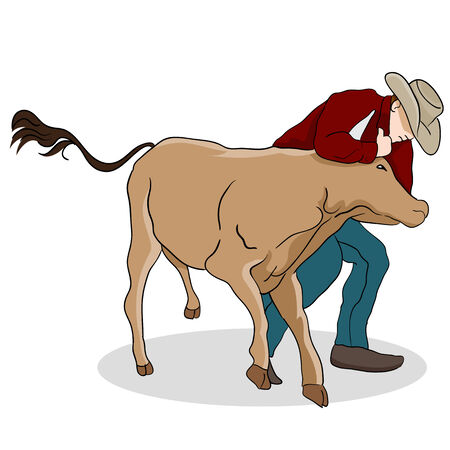An image of a cowboy wrangling a calf.のイラスト素材
