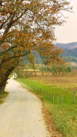 A road in a rural area.の写真素材