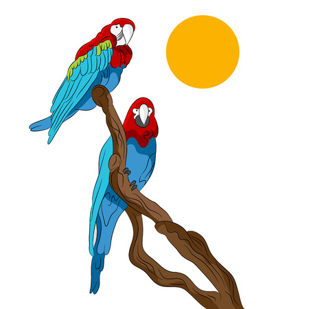 An image of two parrots sitting on a tree branch.のイラスト素材