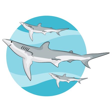 An image of swimming sharks.のイラスト素材