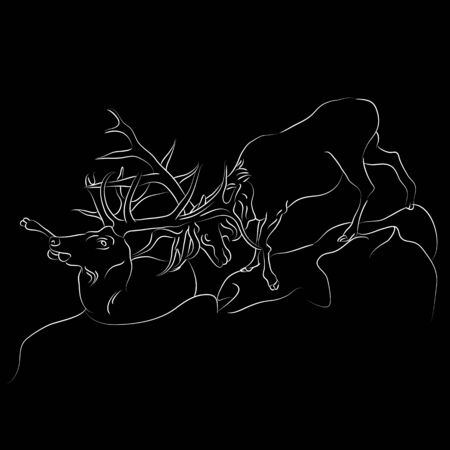 An image of fighting elks.のイラスト素材