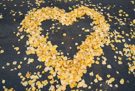 golden heart of leafs on the roadの写真素材