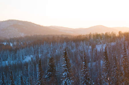 beauty pink sunset in siberian mountainsの写真素材