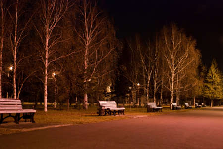 night asphalt alley with benches in the russian parkの写真素材