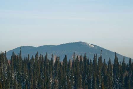 fir trees in the winter mountains. Siberia. Russiaの写真素材