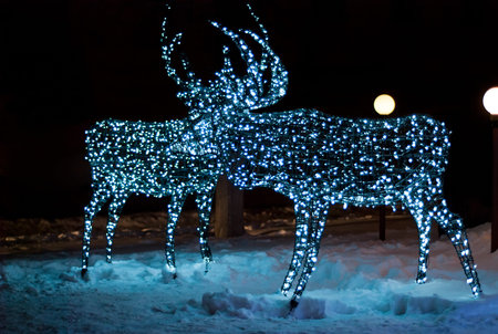 Glowing reindeer made of wire and color light bulbsの写真素材