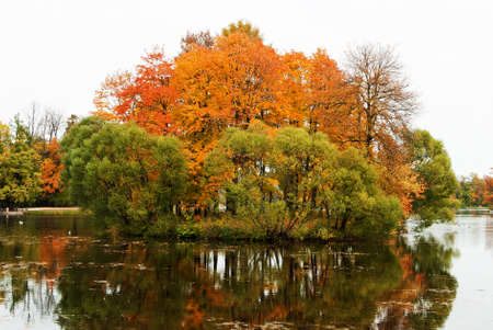 island with willow and maple trees in the middle of pond in park Pushkin. St. Petersburgの写真素材