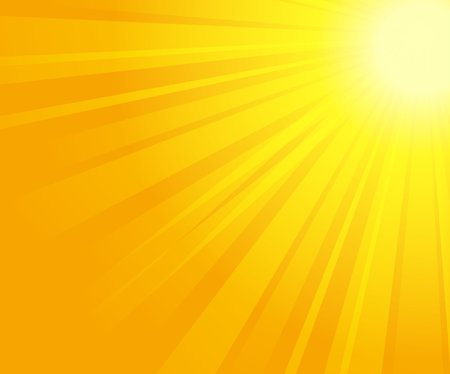 vector illustration of sunburstのイラスト素材