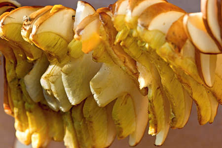 Still life of true fungi, dried mushrooms on a stringの写真素材