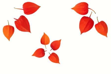 Orange decorations created from fruits boxes gooseberry, physallis の写真素材