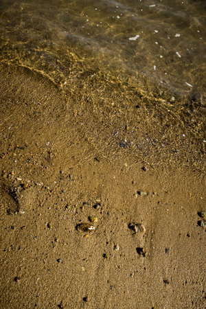 A close-up of wet sand with pebbles and shells, where clear shallow water creates shimmering light...