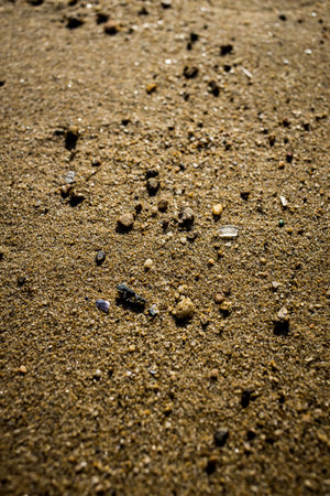 A close-up of coarse sand with fine grains, pebbles, and shell fragments, showing natural texture and lighting.の写真素材
