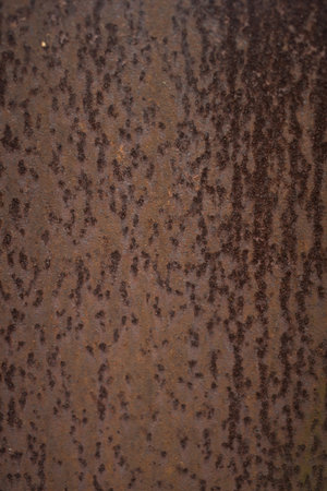 A close-up of rusted metal with brown hues, dark patches, and uneven pitted texture showing corrosion.の写真素材