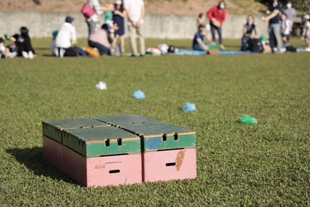 A group of people gather in the background while colorful boxes decorate the grassy foreground,...