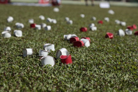 Small stitched leather pieces reassemble sports equipment ends are scattered across a grassy field.の写真素材