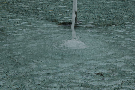 A close-up of a water fountain with a vertical stream splashing into a pool, creating ripples and bubbles.の写真素材