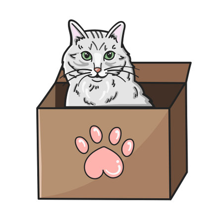 A white cat sitting in a box, an isolated vector image on a white background. Hand drawing. Suitable for stickers, prints, postcards, banners, posters, advertisements for animal shelters.のイラスト素材