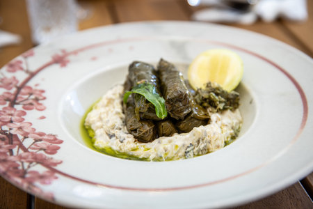 Dolma - stuffed grape leaves with meat, rice and vegetablesの写真素材