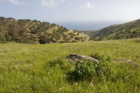 Deep Creek National Park in South Australia, kangaroo island visible on the horizonの写真素材