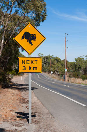 Roadside sign warning of Koalas being in areaの写真素材