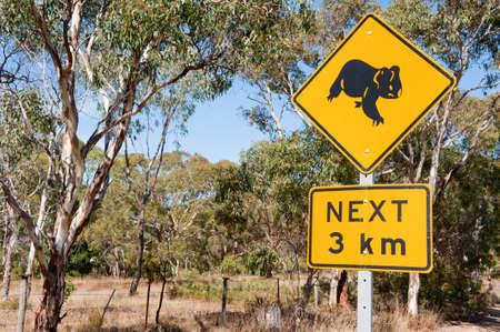 Roadside sign warning of Koalas within the area.の写真素材